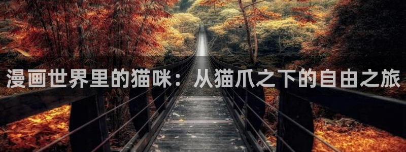 哔咔漫画app下载免费