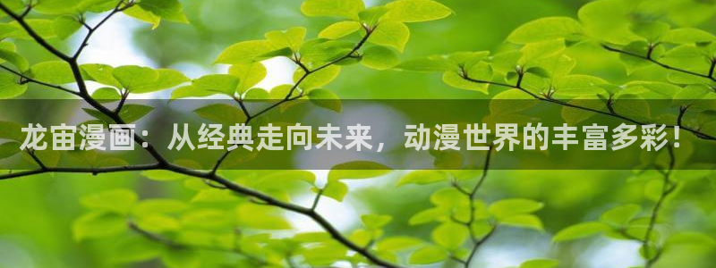 哔咔漫画凭证