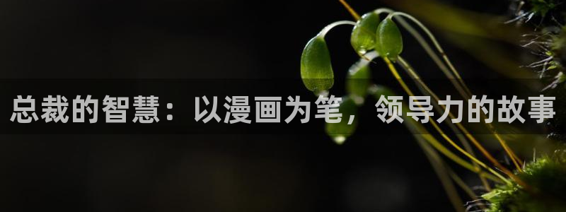 哔咔漫画为什么不能登录