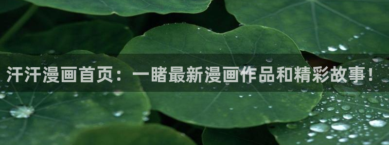 哔咔漫画入口旧版