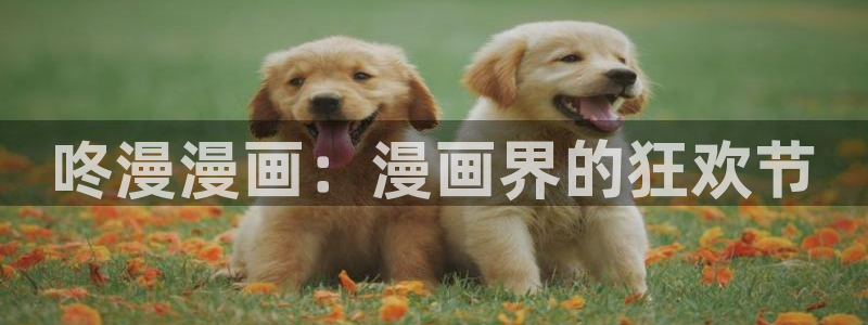 哔咔漫画进入